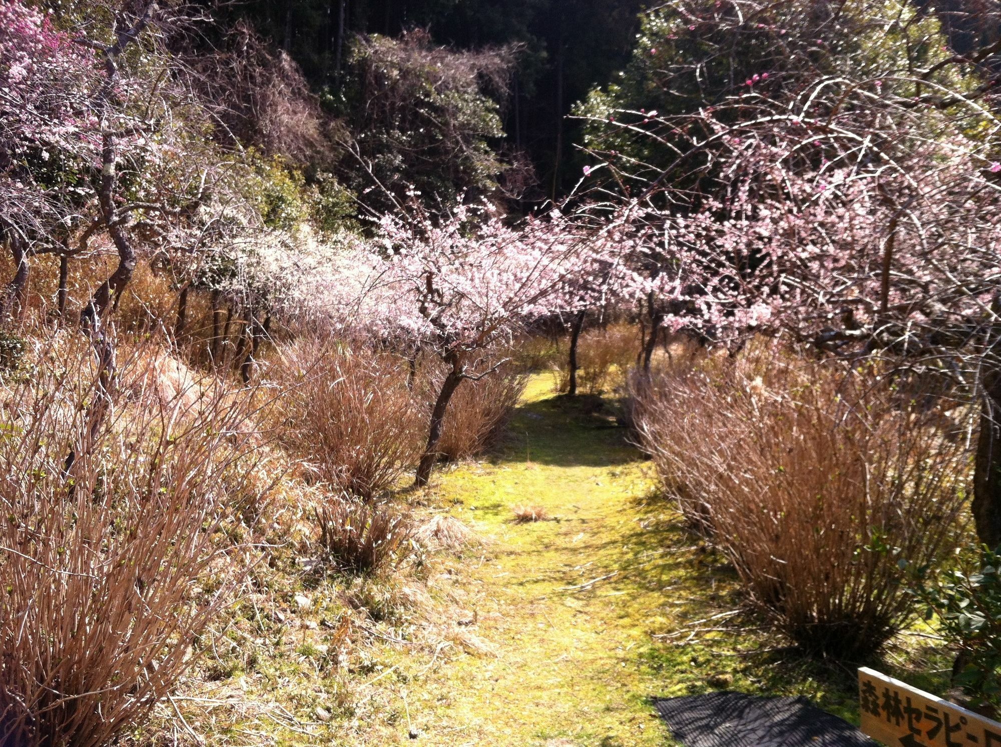 火の谷温泉　美杉リゾート 津市 エクステリア 写真