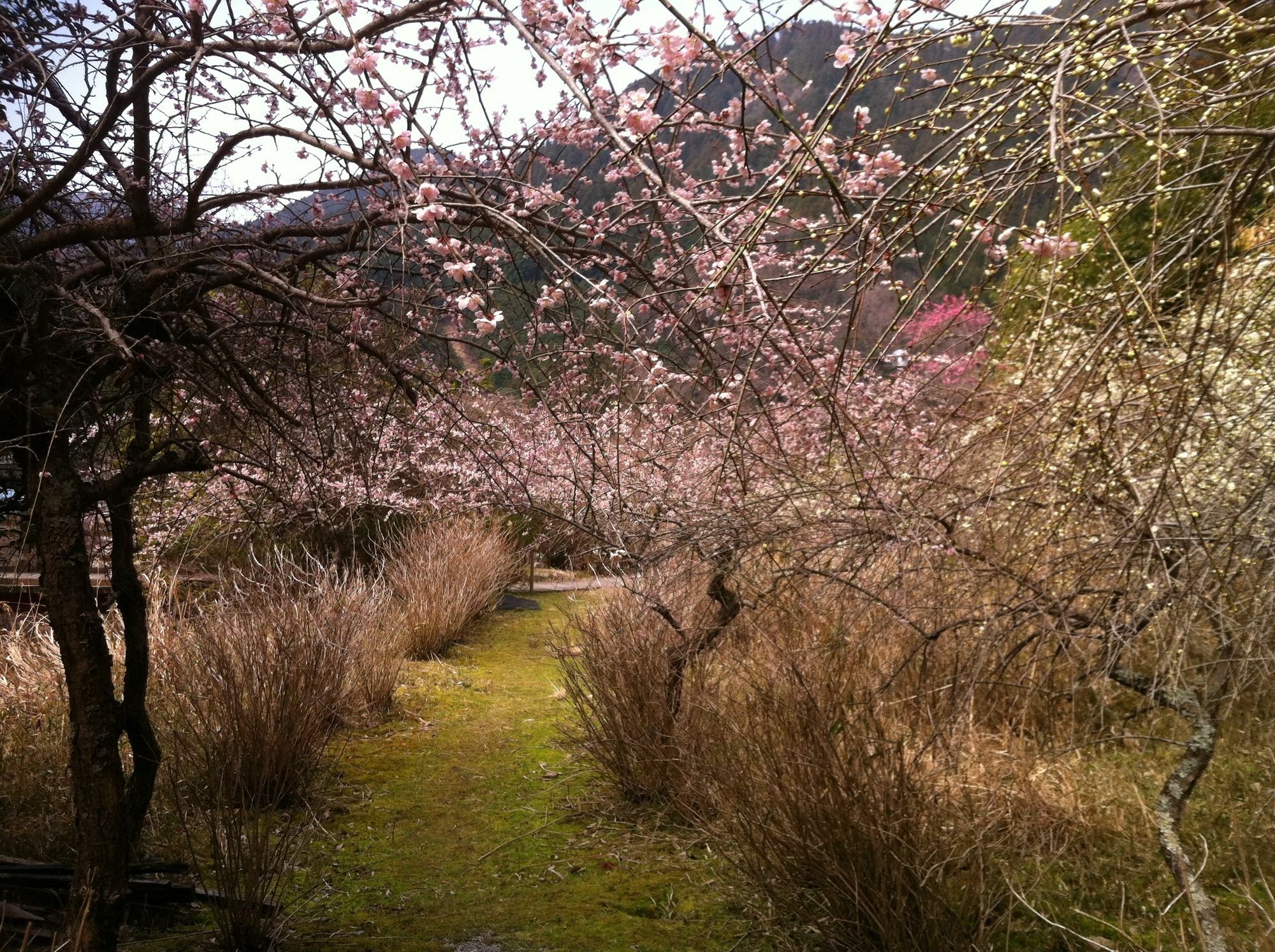 火の谷温泉　美杉リゾート 津市 エクステリア 写真